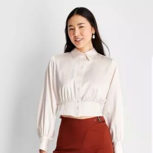 Future Collective Reese Blutstein Long Sleeve Satin Corset Collared Top